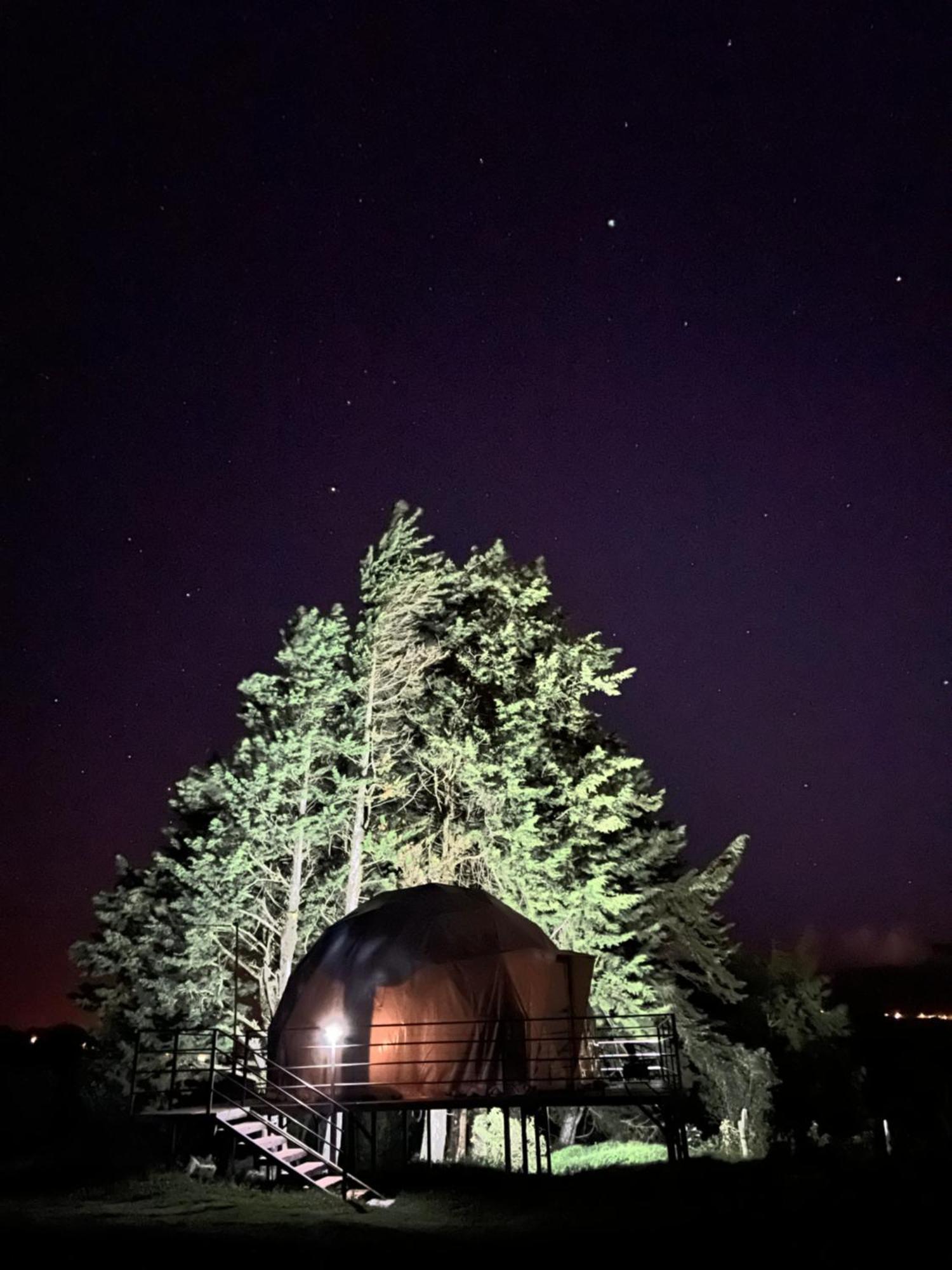 Green Noise Glamping Fraijanes Exterior photo